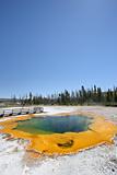 yellowstone - emerald pool hot spring