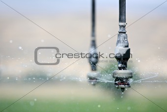 irrigation close up