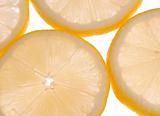 Lemons Cross Section