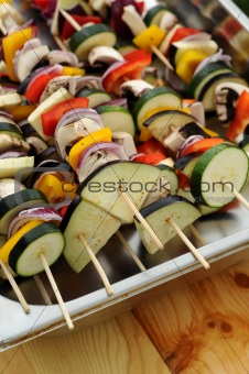 Plate of fine dining meal - shish kebob ready to grill