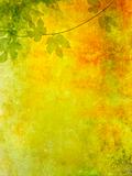 Grunge background with grape leaves