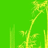 Bamboo Tropical Design Illustration Background