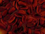 Red Blood Cells Microscope View Illustration Dark
