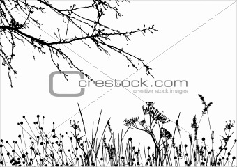 grass & tree / vector silhouette