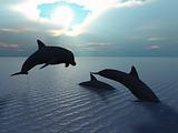 dolphin and sun ray
