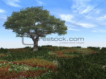 tree and field