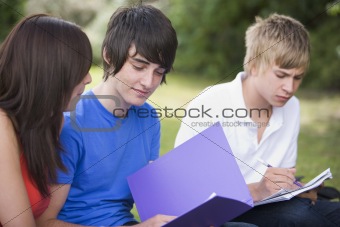 College students studying outside