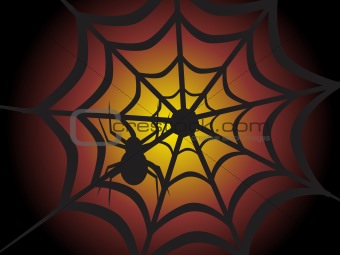 halloween background of spider on the net, illustration