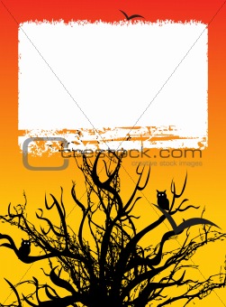 halloween tree and frame on orange background