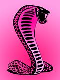 Psychedelic Pink Snake Illustration Design