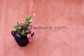 traditional hanging plant pot on terracotta painted wall