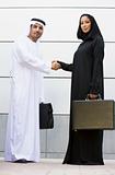 A Middle Eastern businessman and woman shaking hands