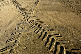 Tracks in the sand at dusk.
