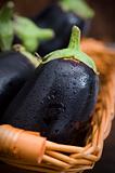 aubergine inside basket closeup