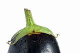 eggplant cap