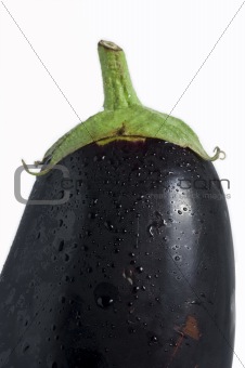 isolated aubergine