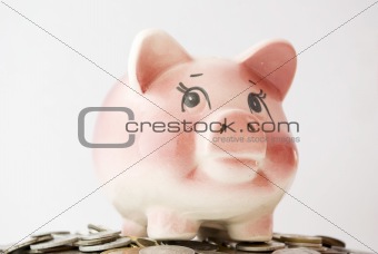piggy bank in coins