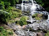 Amicalola Falls Hike