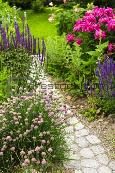 Path in blooming garden