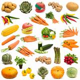 large page of fresh vegetables on white background