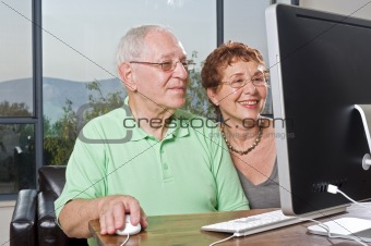 senior couple using  computer