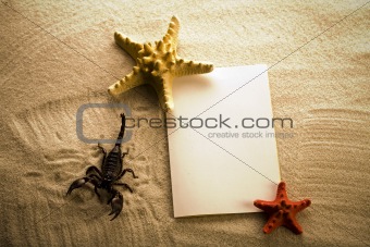 Paper background and Scorpion