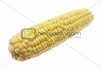 Sweet Corn Cob