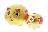 Chinese Golden Piggy Banks