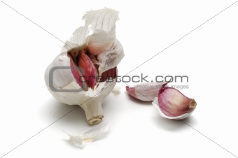 Garlic, alium sativum