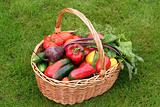 Basket with vegetables