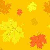 Seamless pattern with autumn leafs