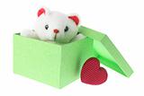 Teddy Bear in Gift Box