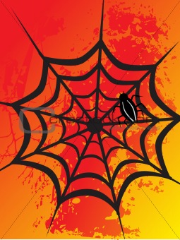 vector illustration of spider with grunge background, illustration
