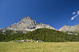 "Leone" mount and Alpe Veglia