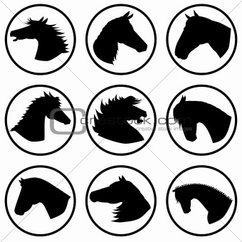 Icons with horse heads