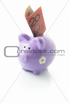 Piggy Bank with Dollar Note