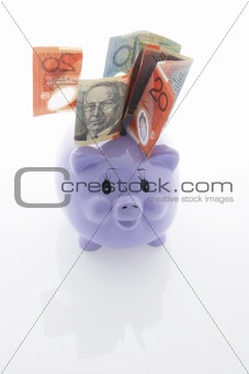 Piggy Bank with Notes