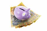 Piggy Bank with Notes