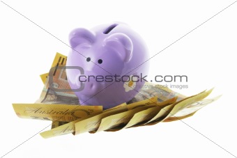 Piggy Bank and Dollar Notes