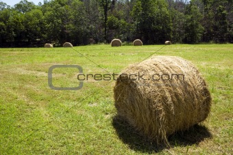 Hay bale in field.