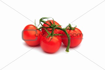 Homegrown tomatoes
