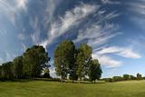 Beautiful landscape with grassland, trees and cirrus clouds in wide angle view