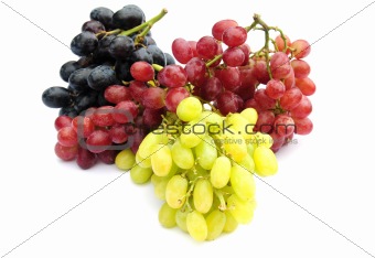 red,black and green grapes