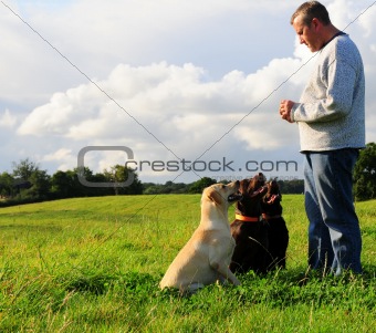 man and dogs