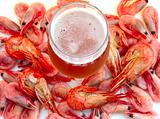 Beer and shrimps (prawns).