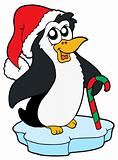 Penguin in Christmas cap