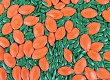 Colorful seeds background