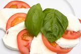 caprese salad: tomato, mozzarella, basil