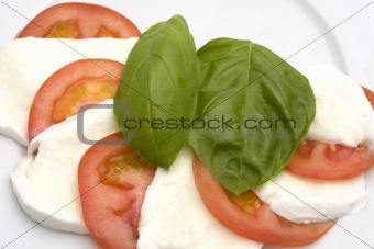 caprese salad: tomato, mozzarella, basil