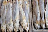 Background of salted fish